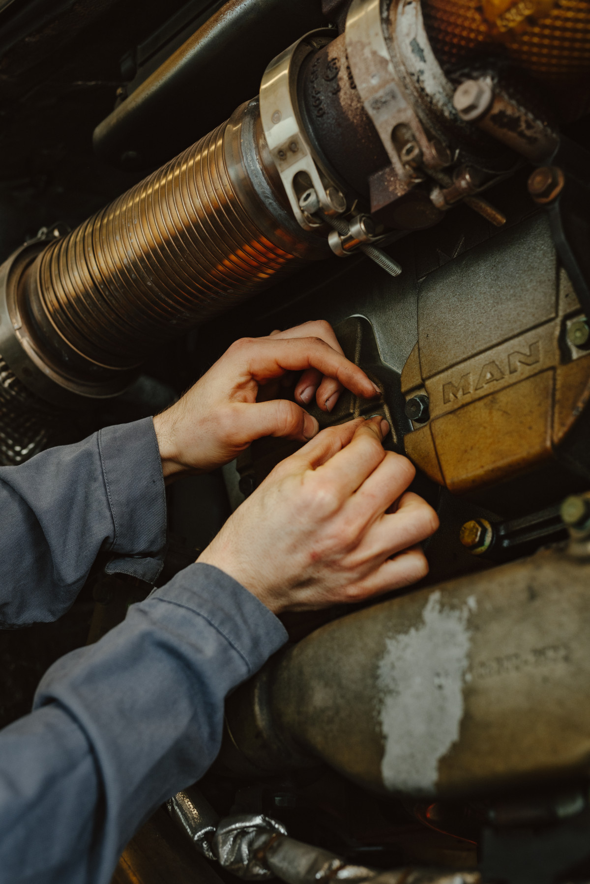 Image 3: Abozar Tabibi