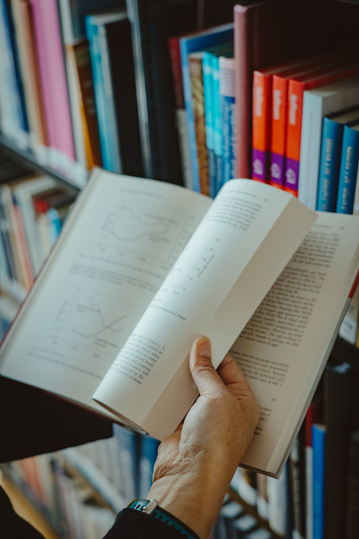 Bild 3: Alyson van Raalte