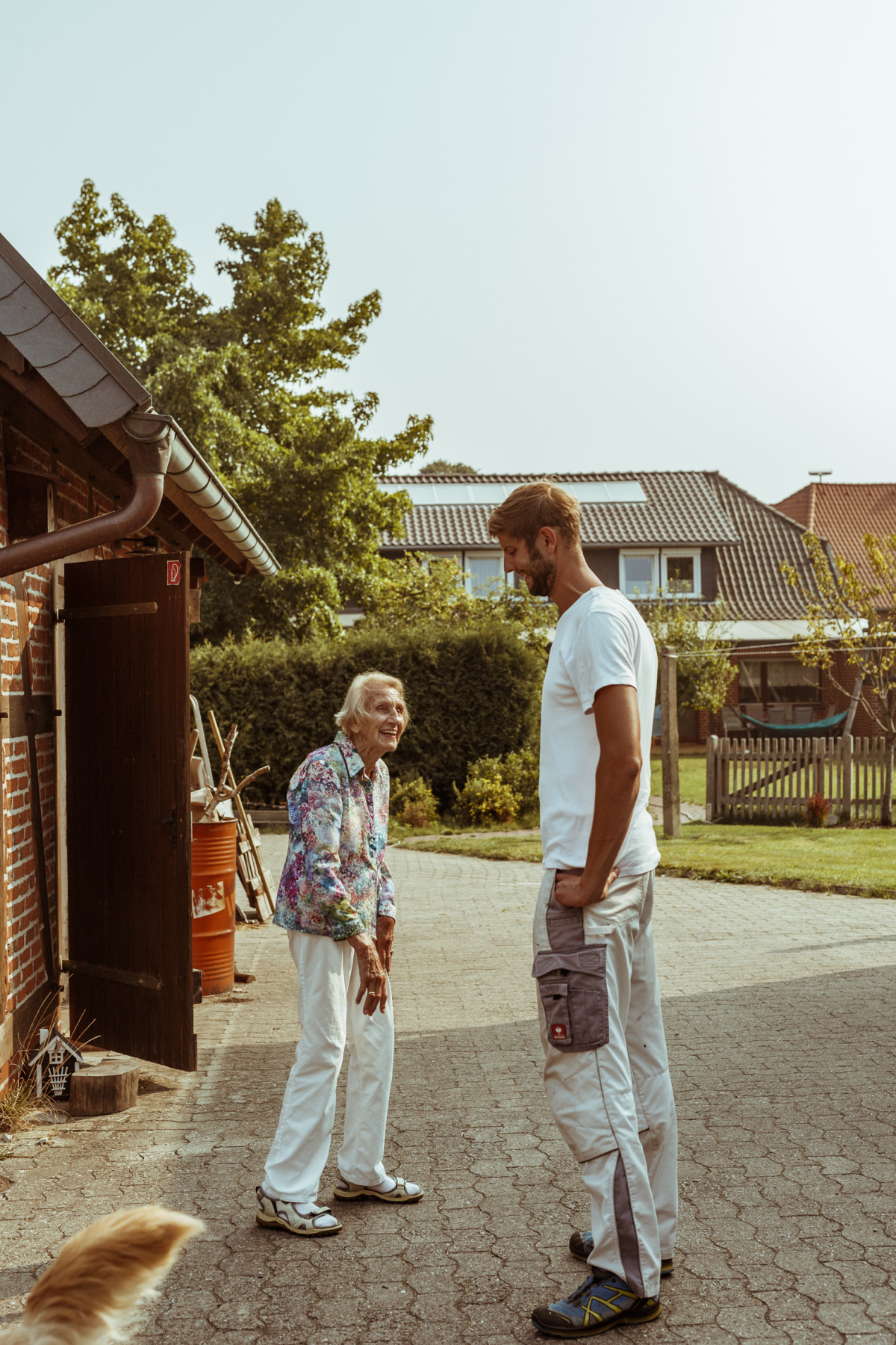 Bild 14: beekeeping