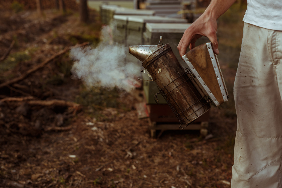Bild 5: beekeeping
