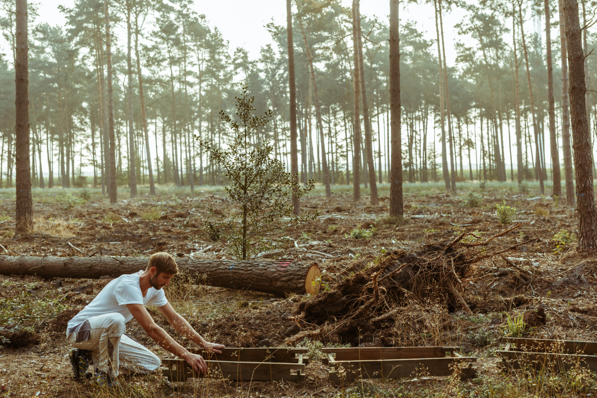 Image 3: beekeeping