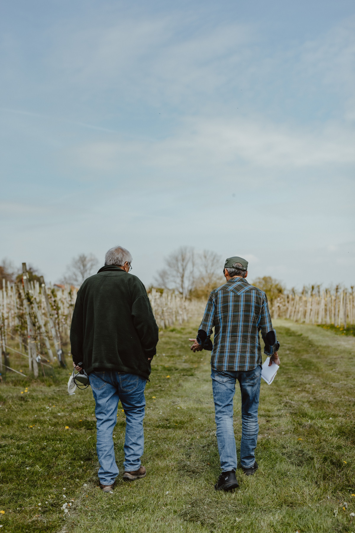 Image 1: Der Apfelbirnenzüchter