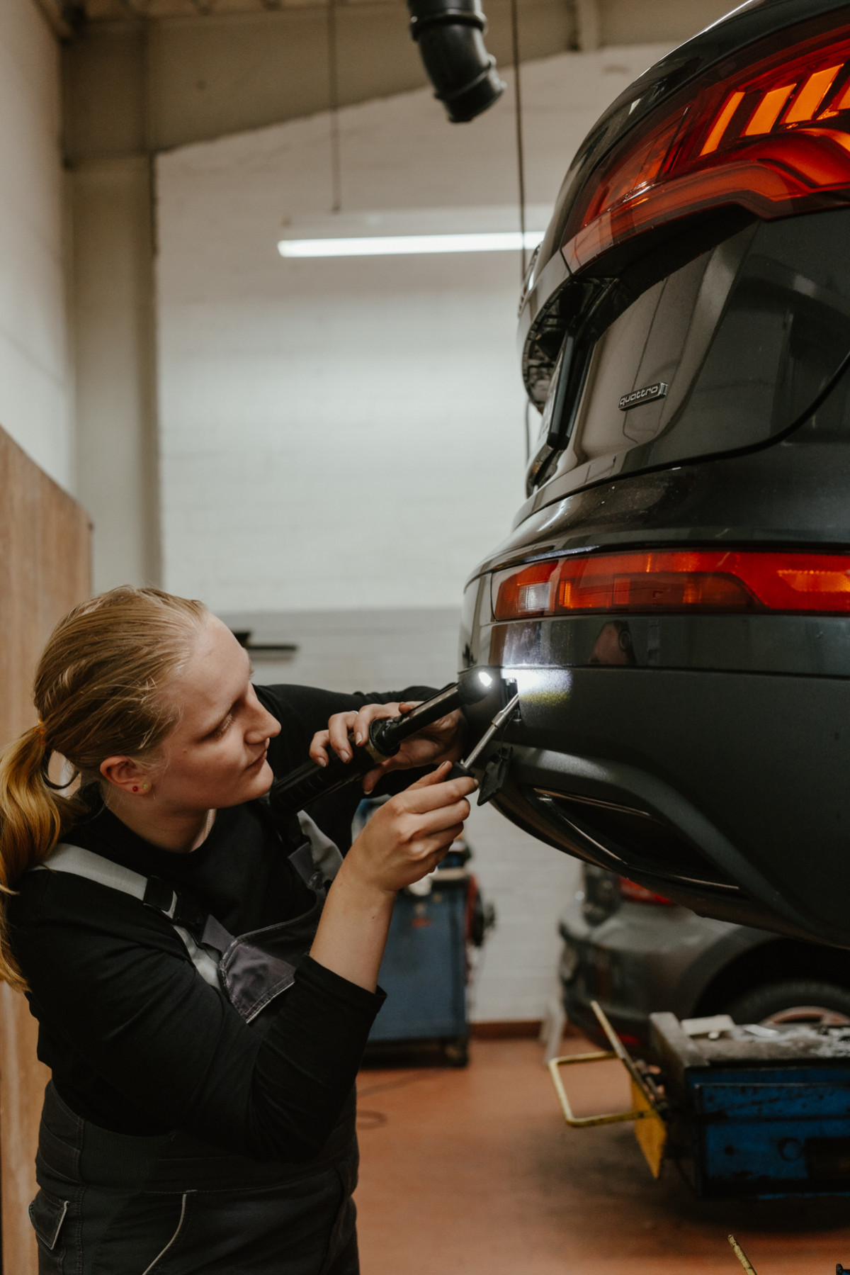 Image 9: Der E-Wolf aus Tarmstedt