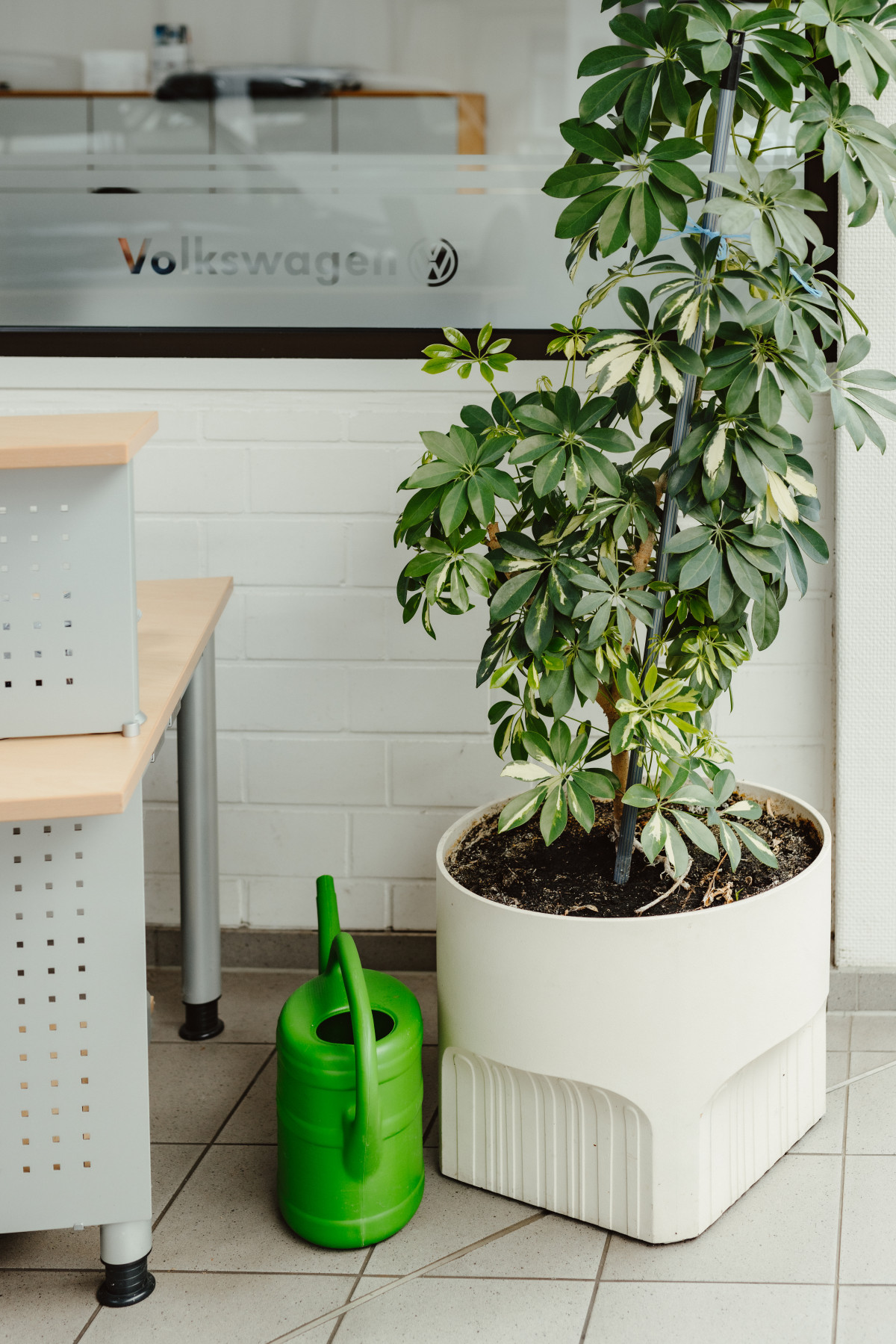 Image 3: Der E-Wolf aus Tarmstedt