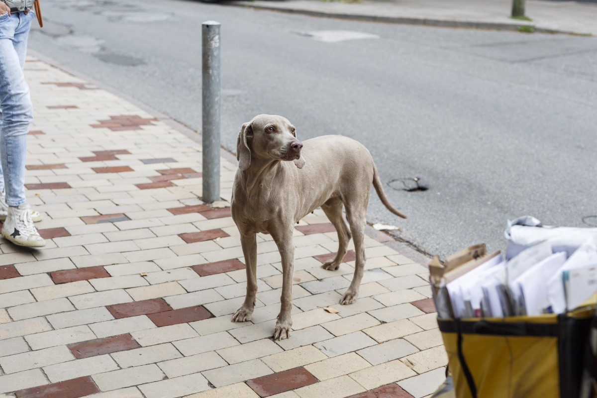 Bild 3: Der Engel von Blankenese