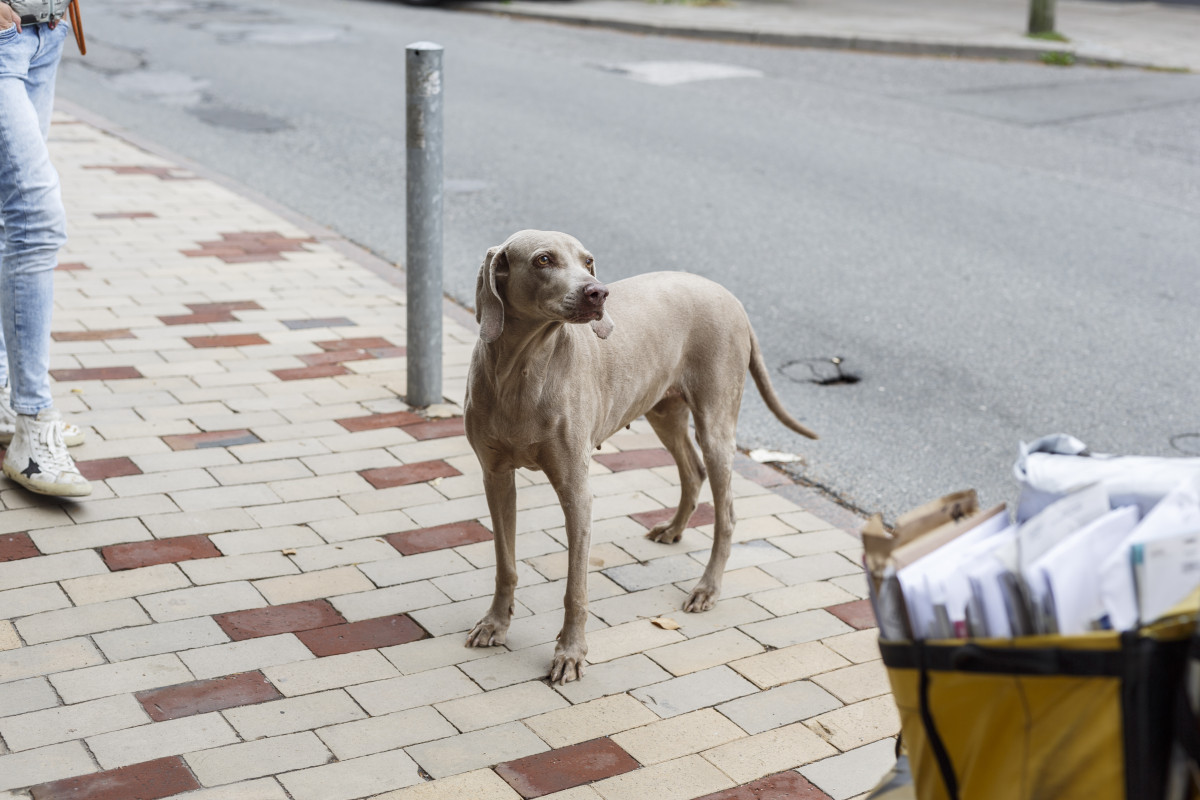 Bild 3: Der Engel von Blankenese