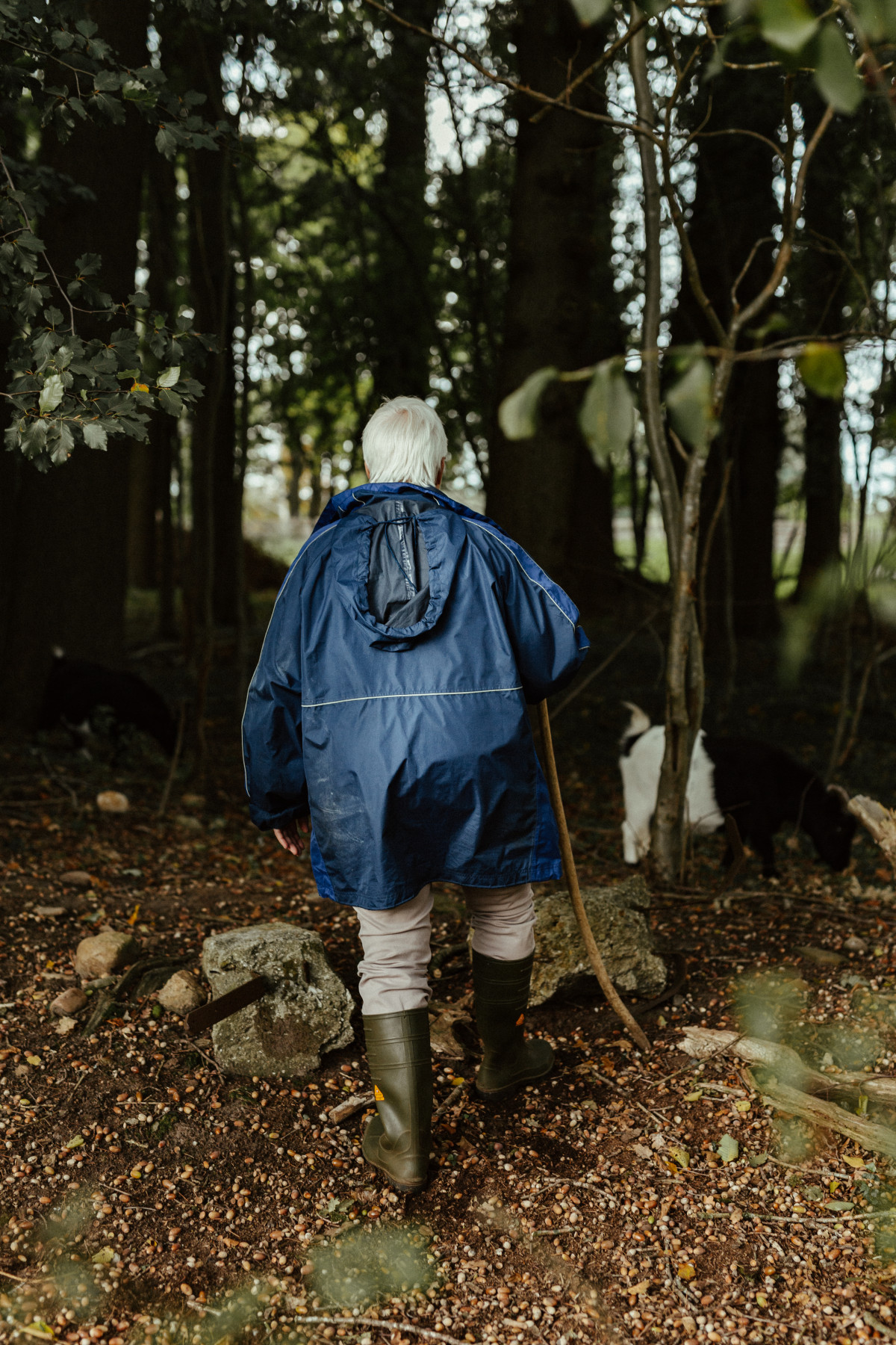 Bild 1: Die Eremitin