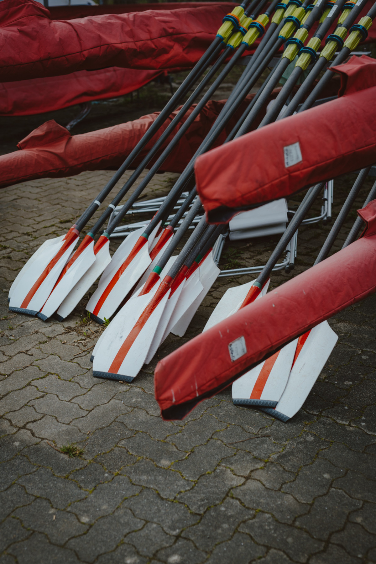 Bild 5: Edina Müller