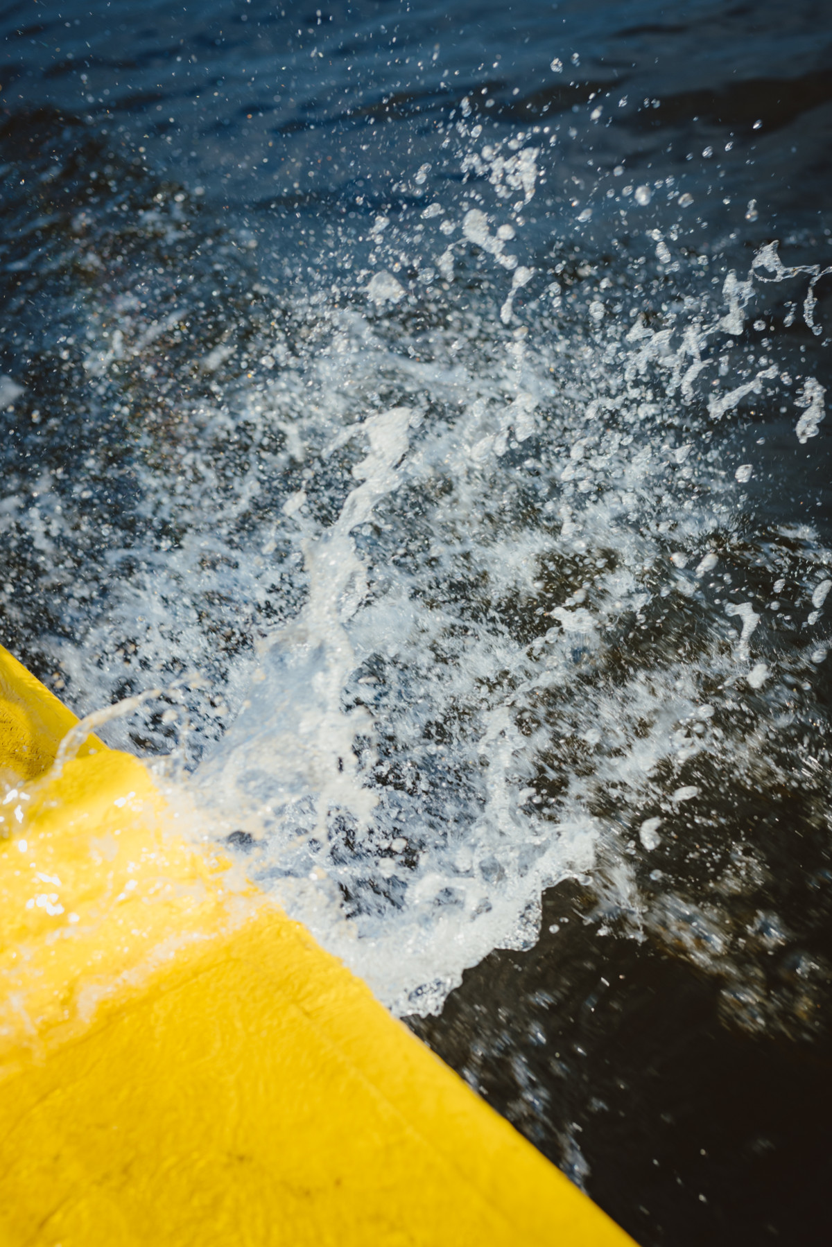 Bild 4: Edina Müller