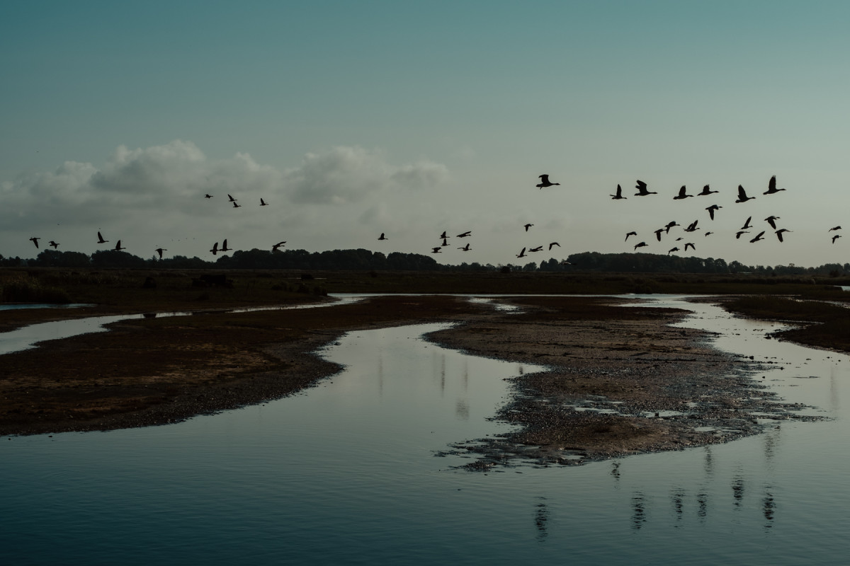Bild 11: Fehmarn