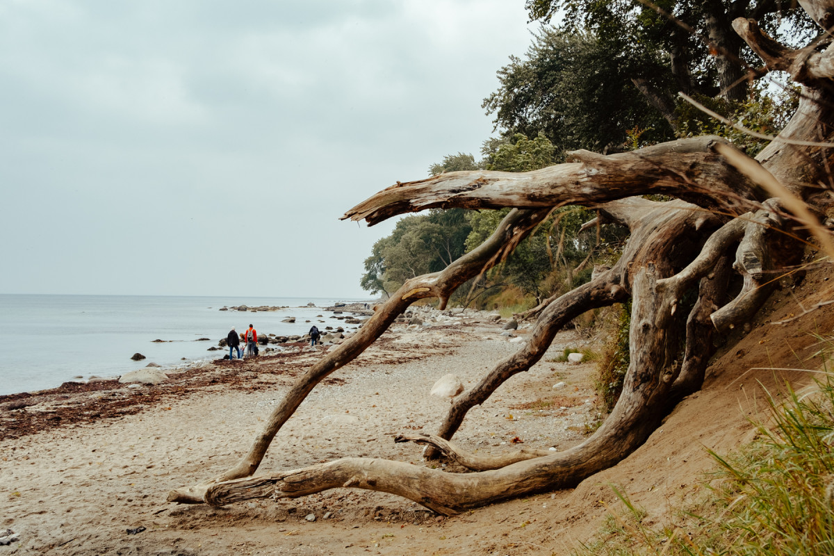 Image 16: Fehmarn