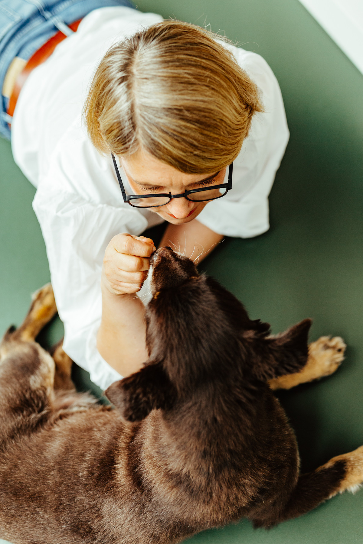 Bild 3: geliebtes Tier