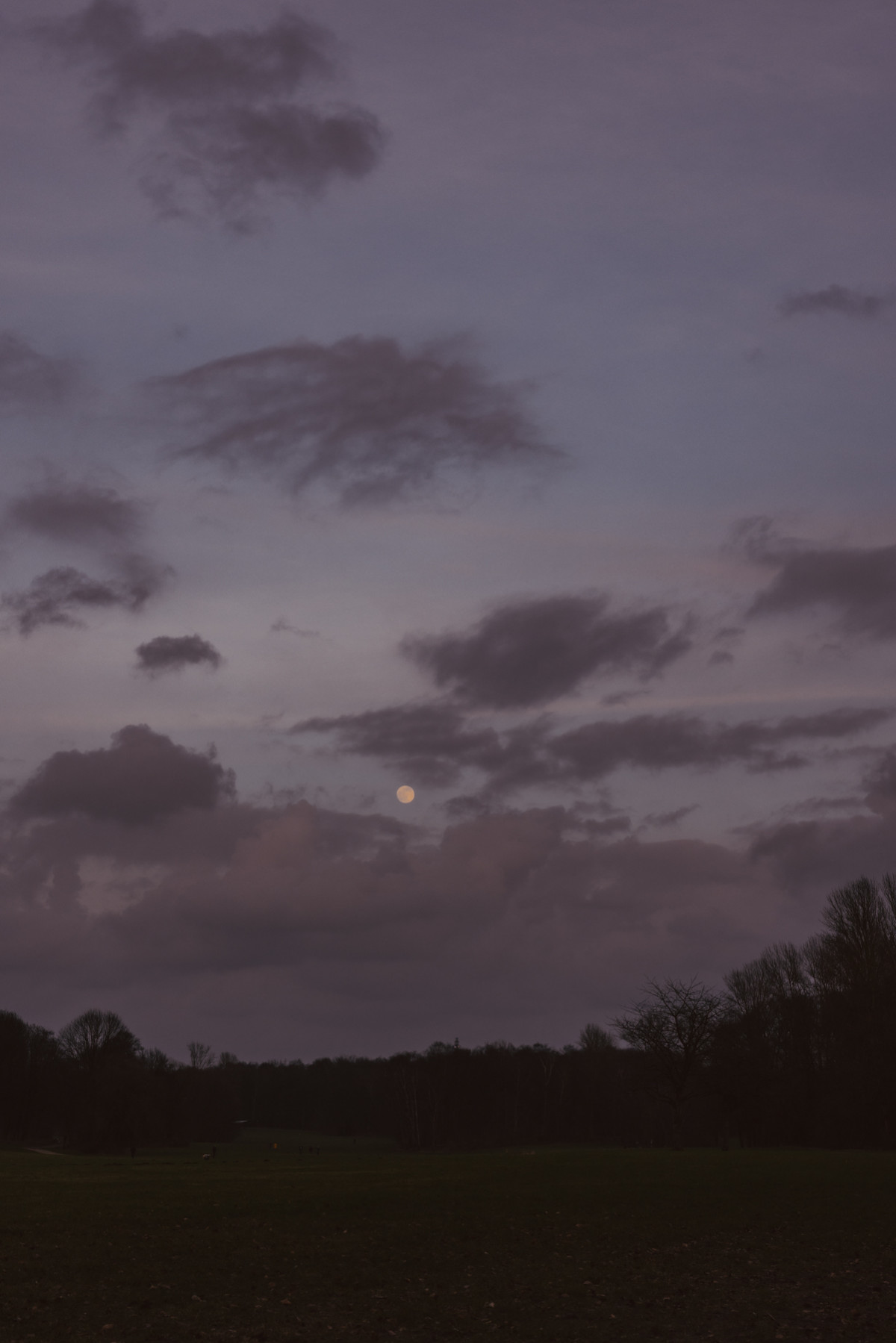 Bild 14: Hamburgs Parks