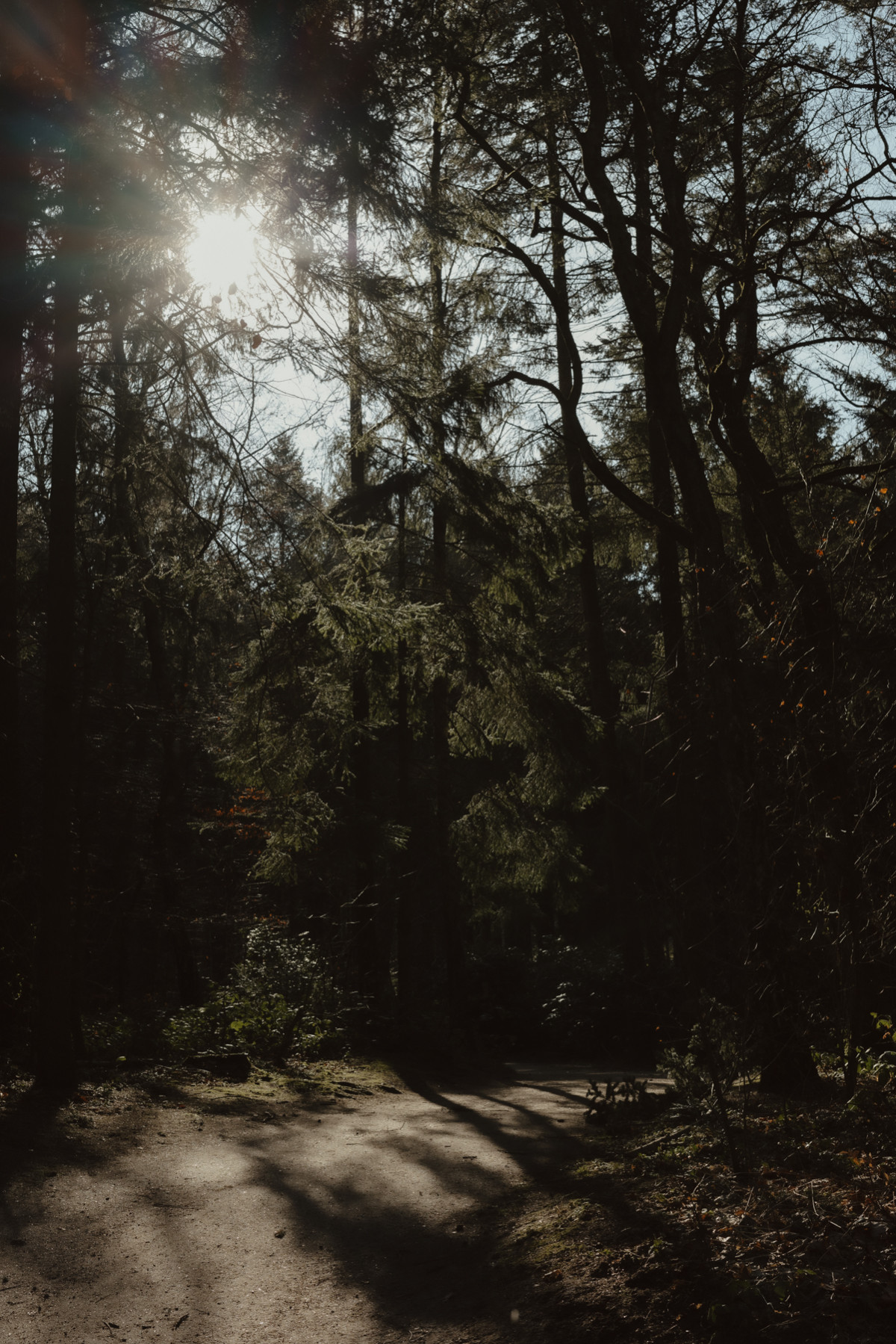 Bild 16: Hamburgs Parks