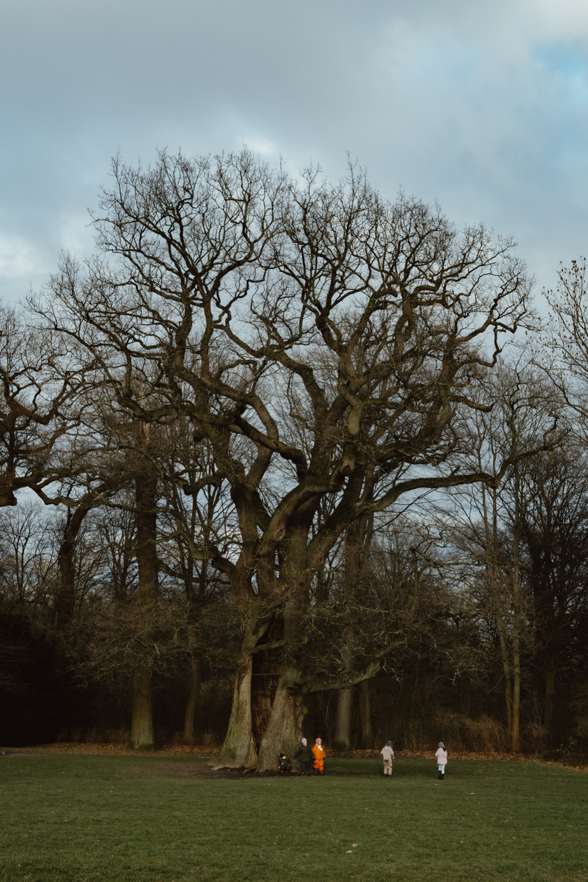 Bild 6: Hamburgs Parks