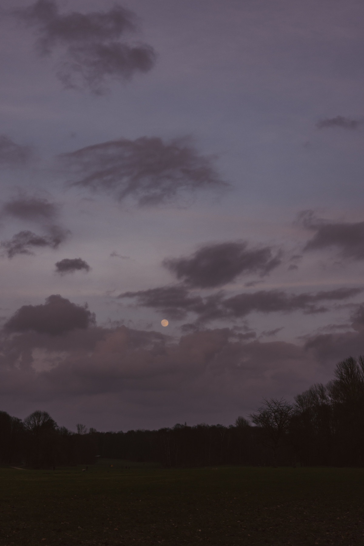 Bild 14: Hamburgs Parks