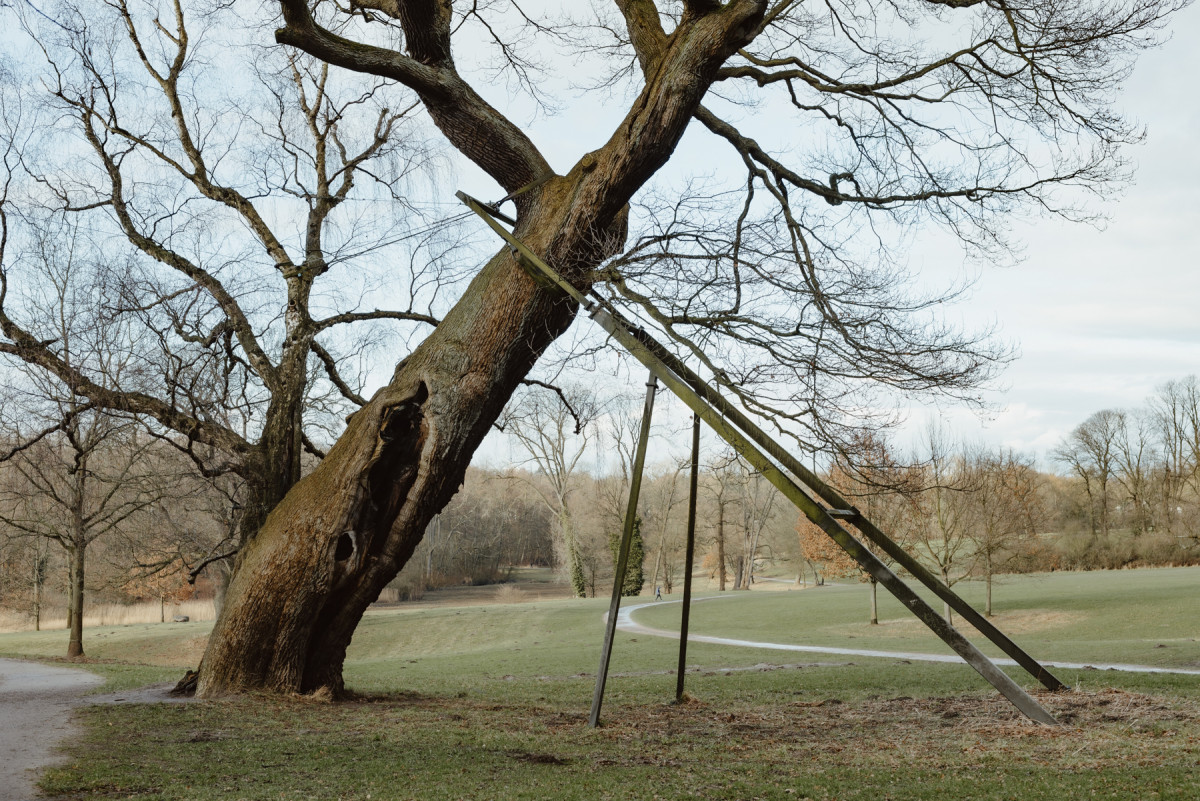 Bild 8: Hamburgs Parks