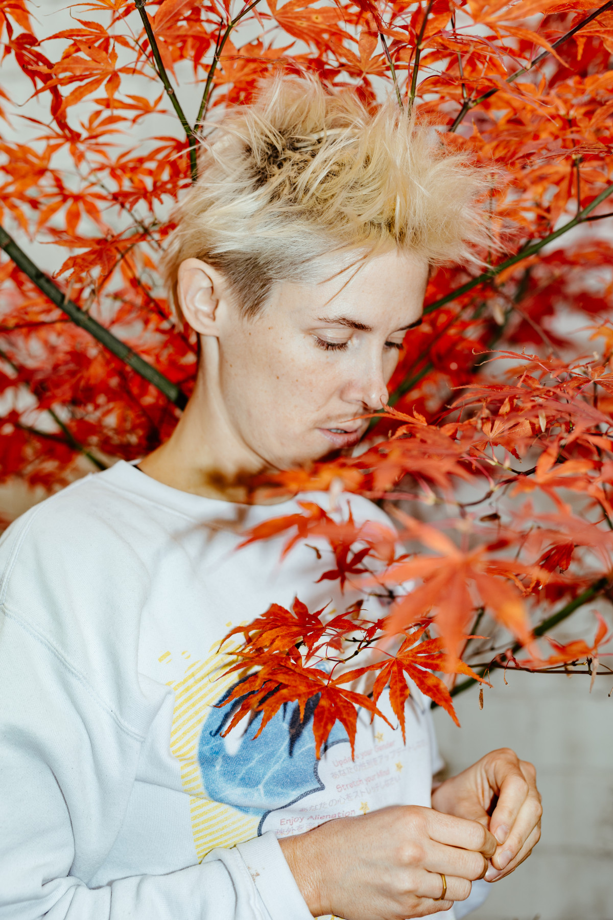 Bild 5: Heinrich Horwitz