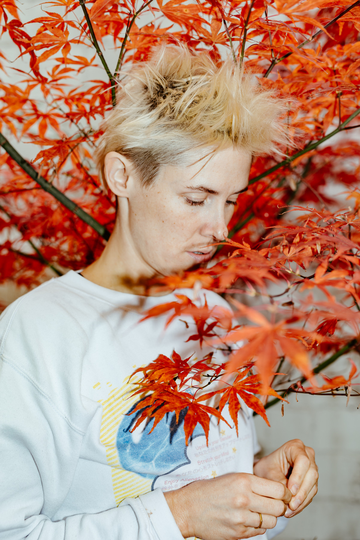 Bild 5: Heinrich Horwitz