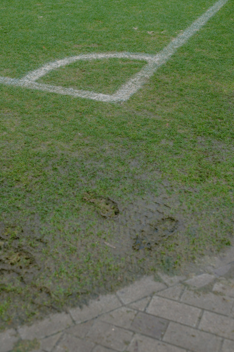 Image 8: HSV