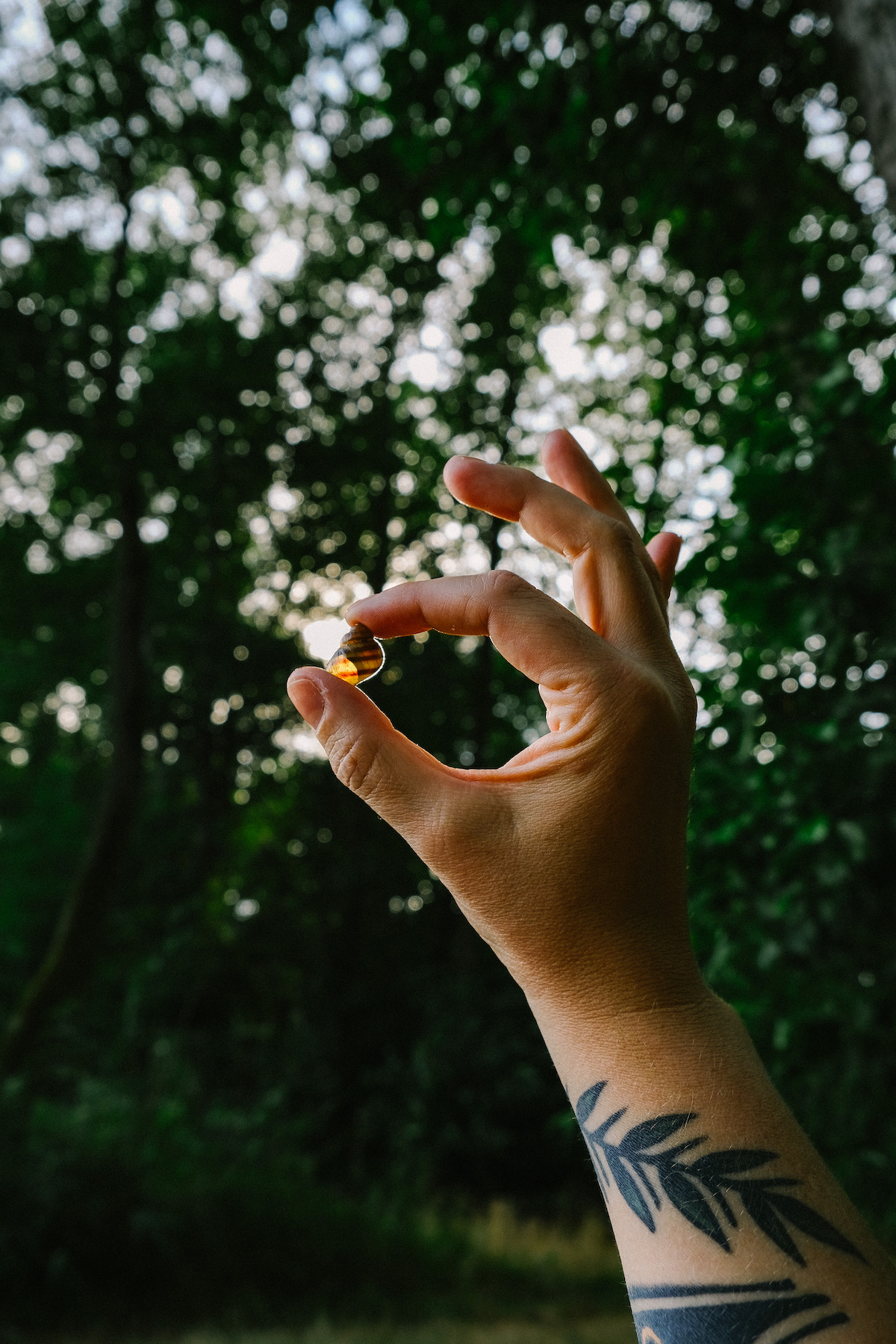 Bild 6: I´m glad I´m not a princess, mum.