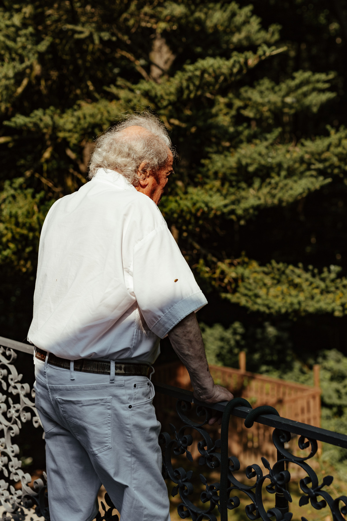 Image 3: Ivar & Dagmar Buterfas-Frankenthal