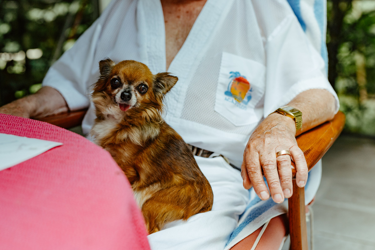 Image 4: Ivar & Dagmar Buterfas-Frankenthal