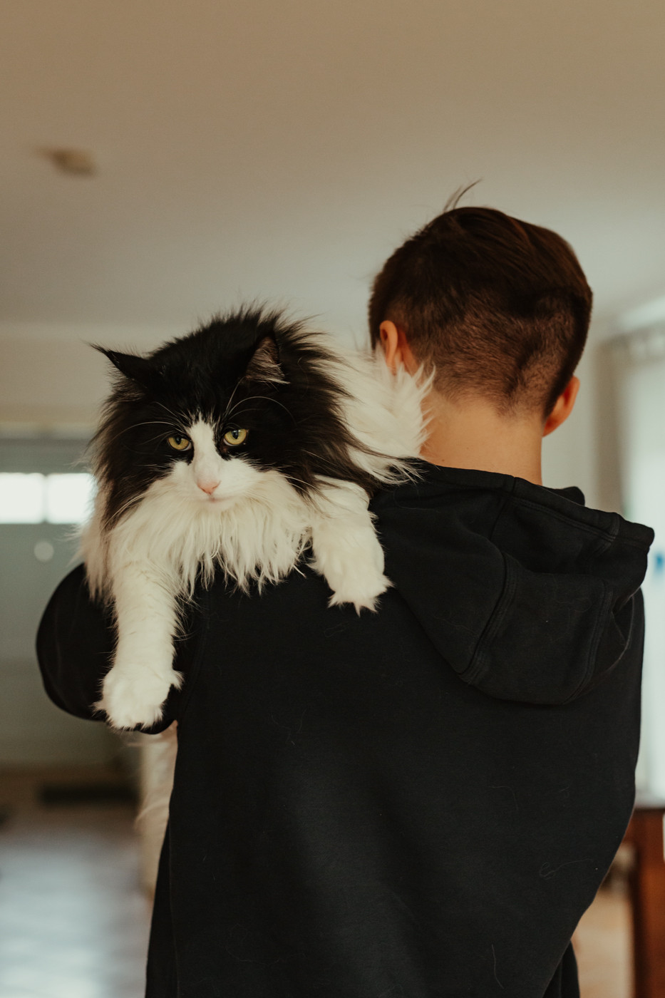 Image 2: Jenseits der Stille