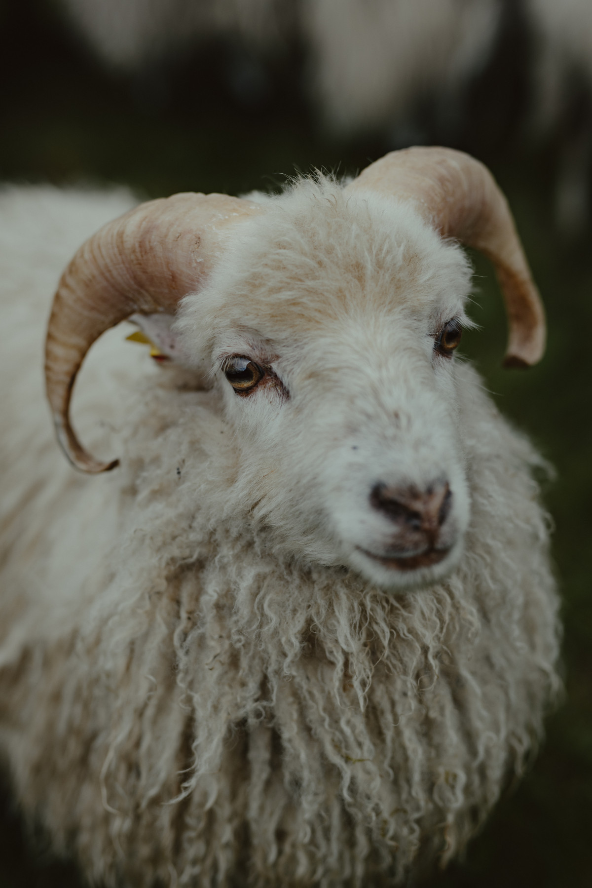 Bild 2: Nadine Quinn