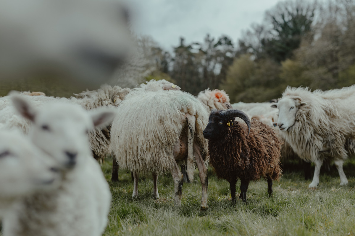 Bild 7: Nadine Quinn