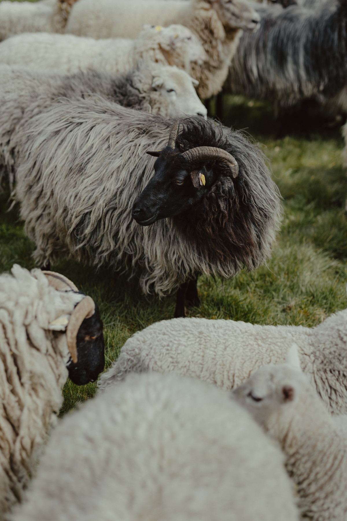 Bild 4: Nadine Quinn