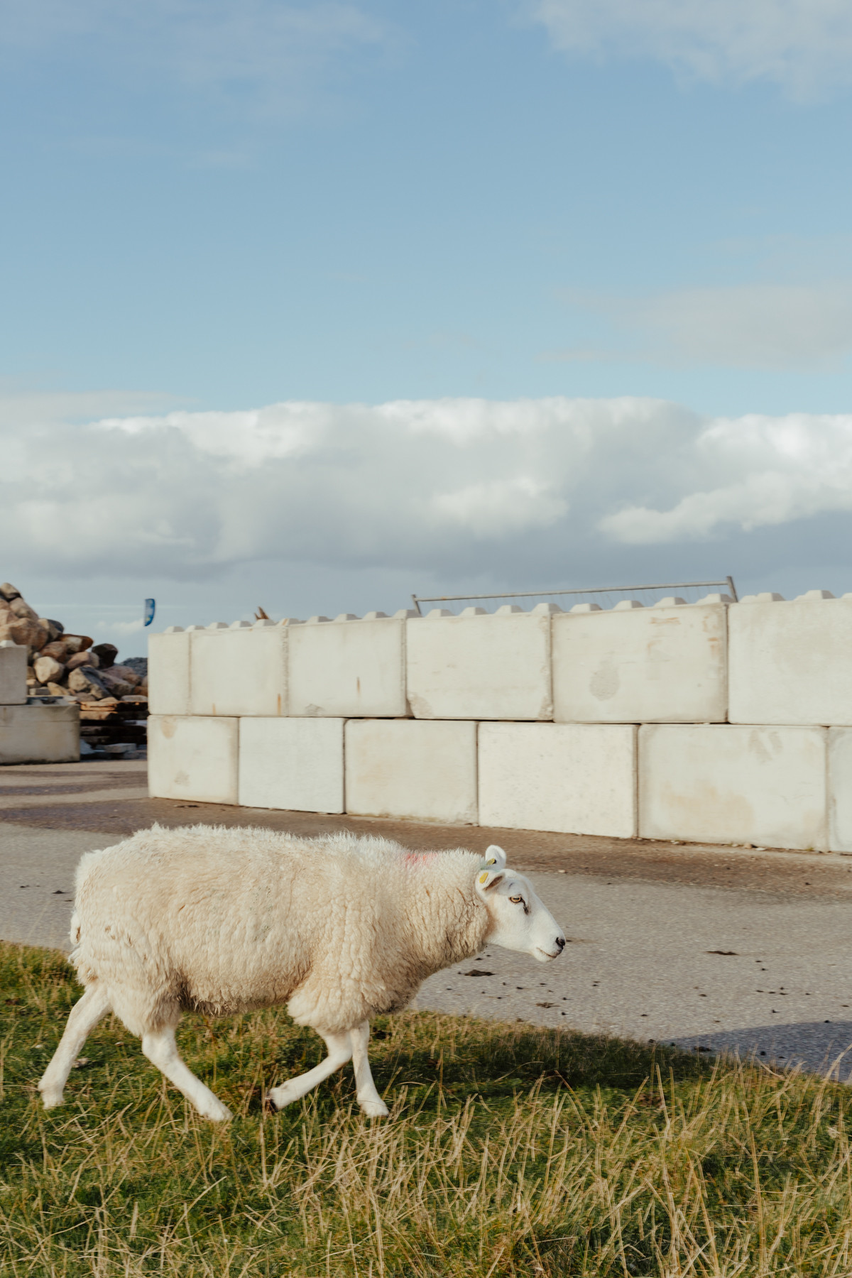 Image 8: Nordstrand