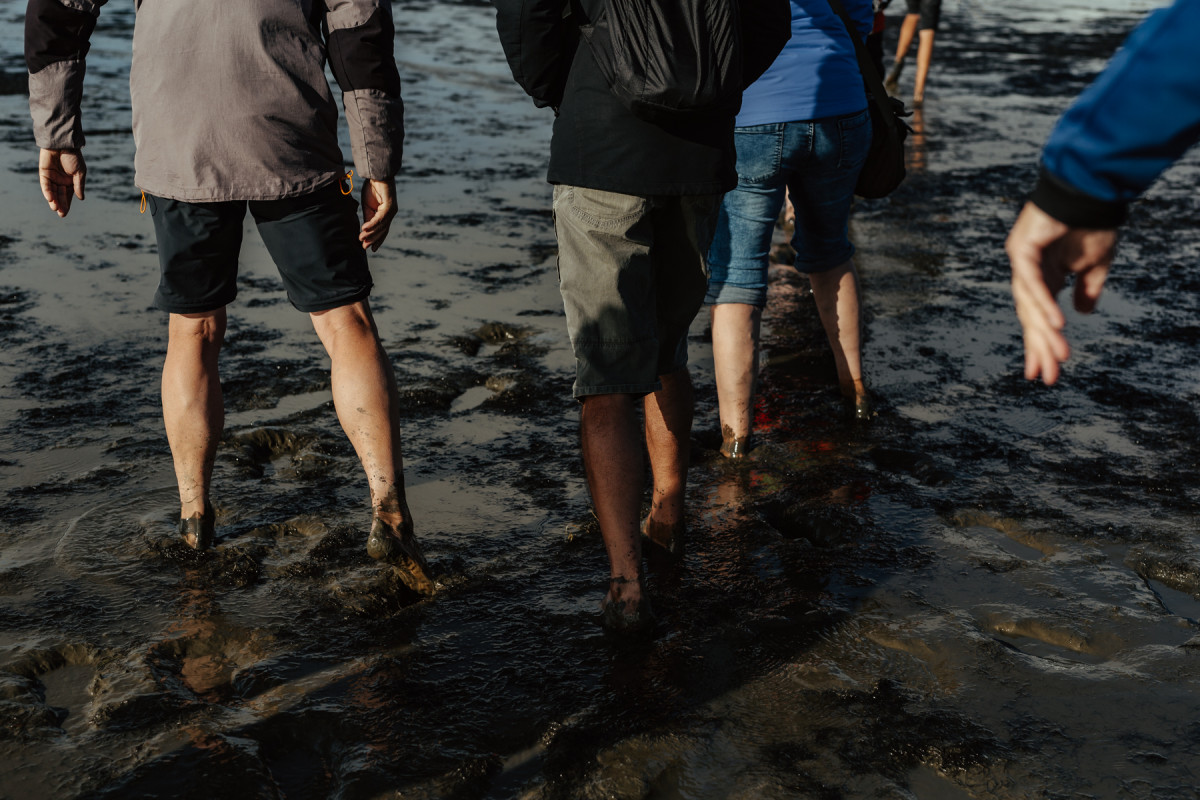 Image 7: Nordstrand