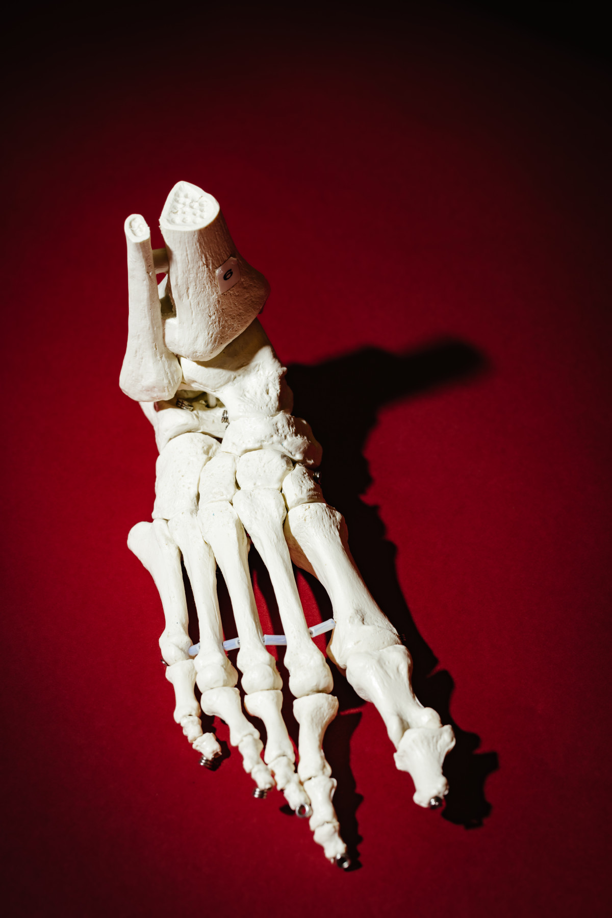 Bild 1: Orthopädische Klinik