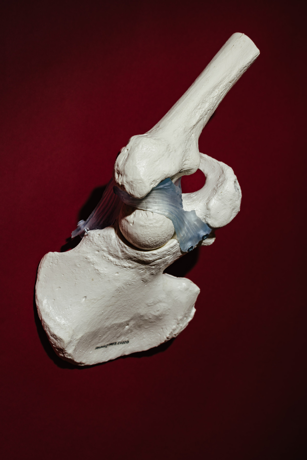 Bild 5: Orthopädische Klinik