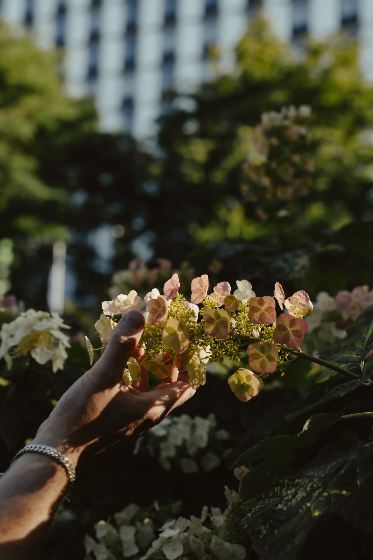 Bild 6: Roland Rödermund