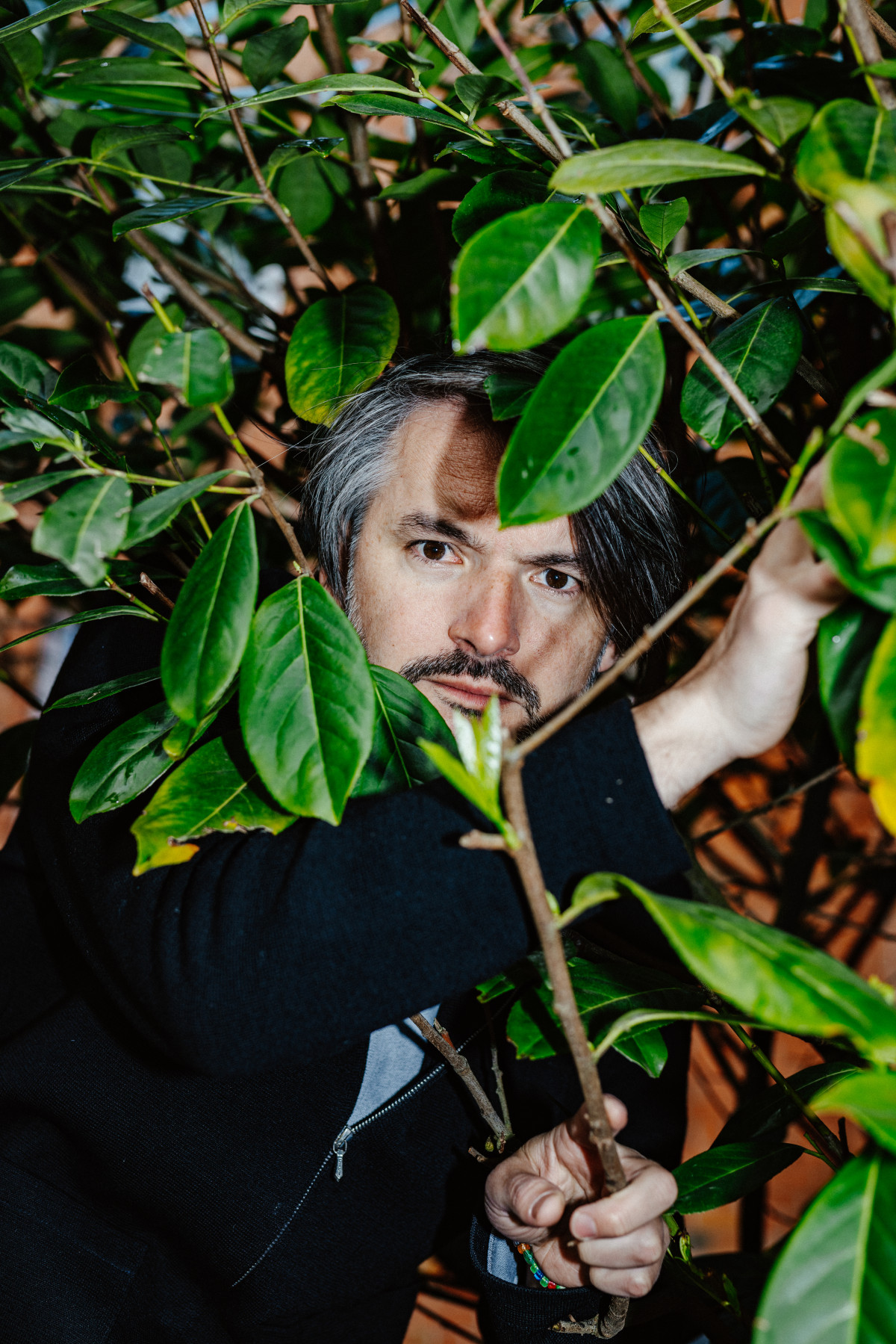 Bild 1: Saša Stanišić