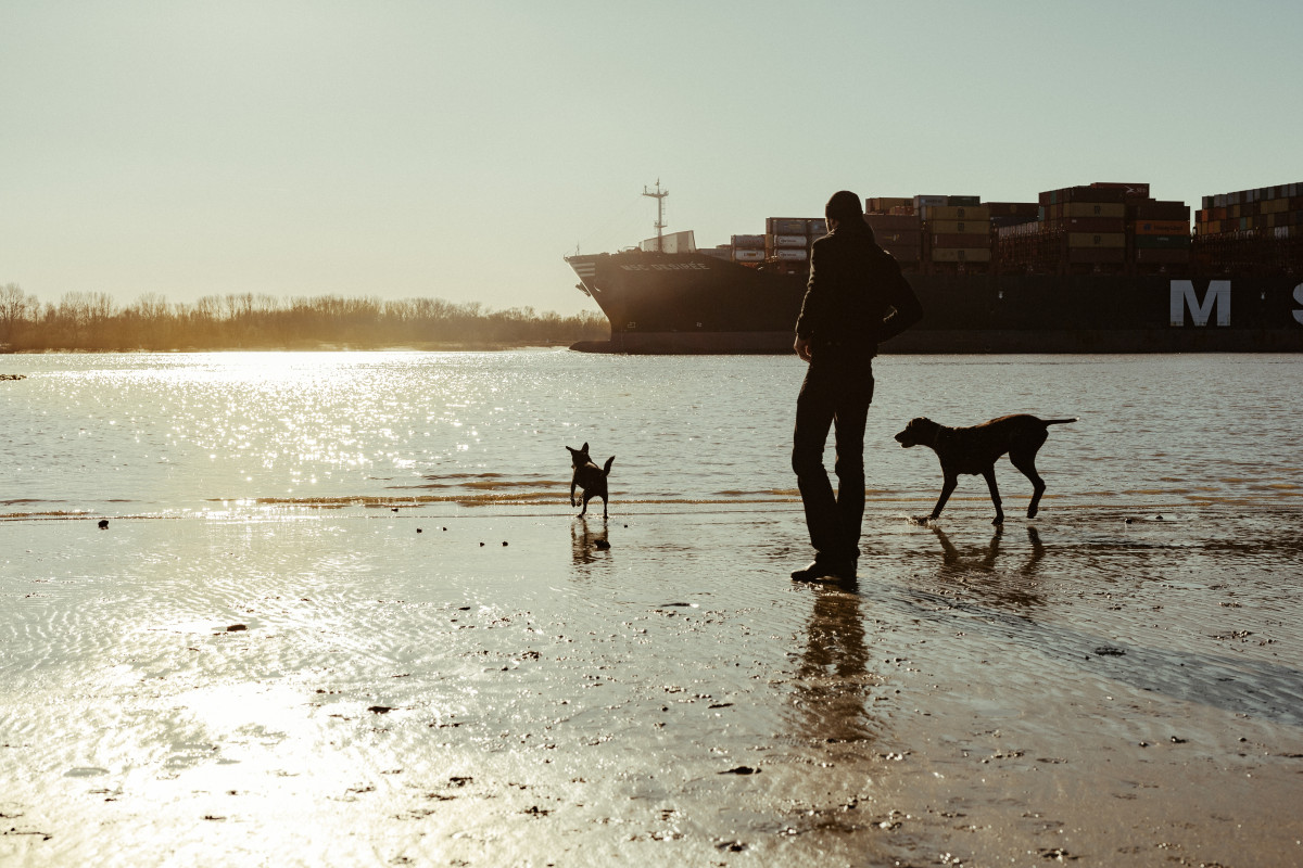 Bild 6: Smutje aus Hamburg