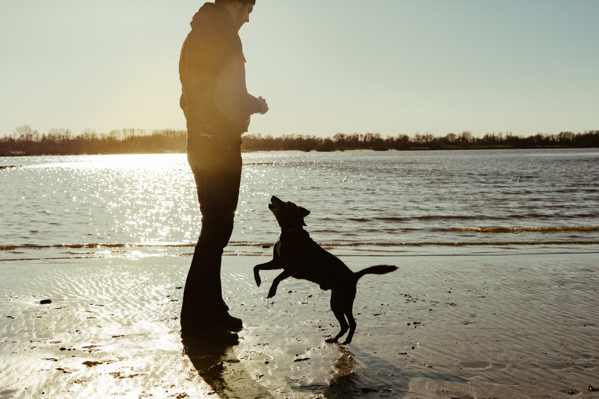 Image 5: Smutje aus Hamburg