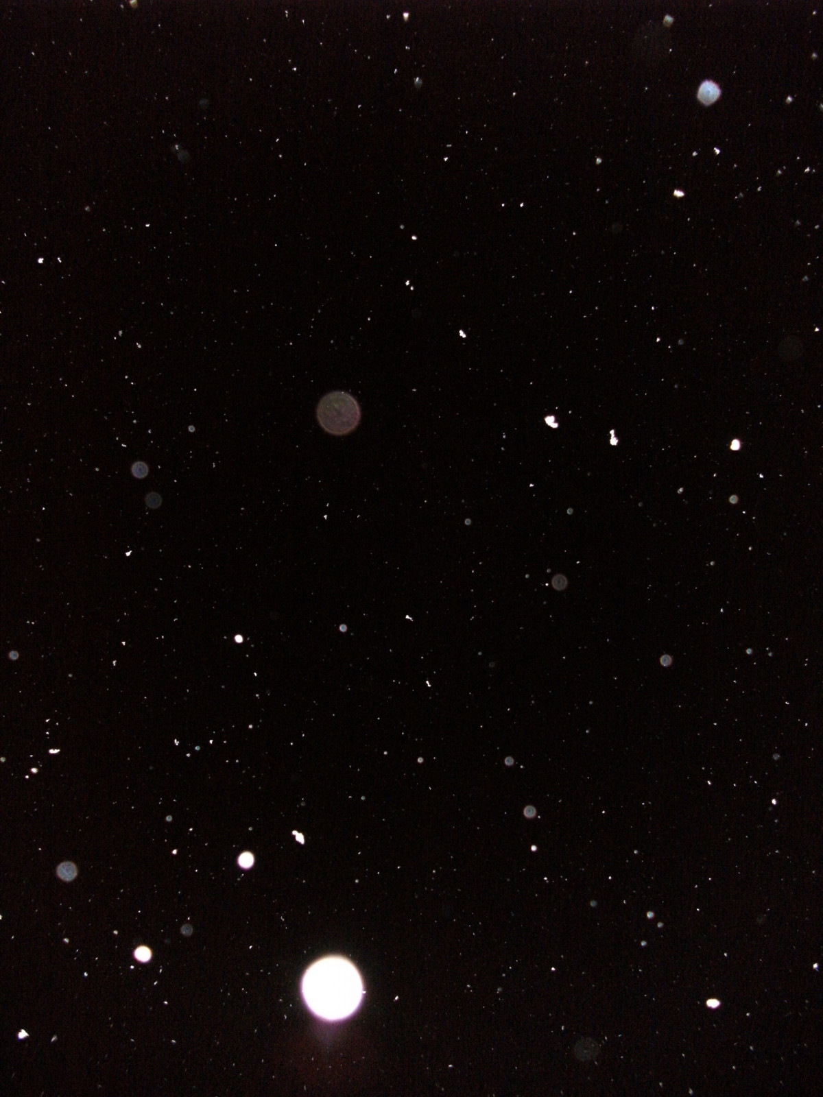 Bild 1: snow