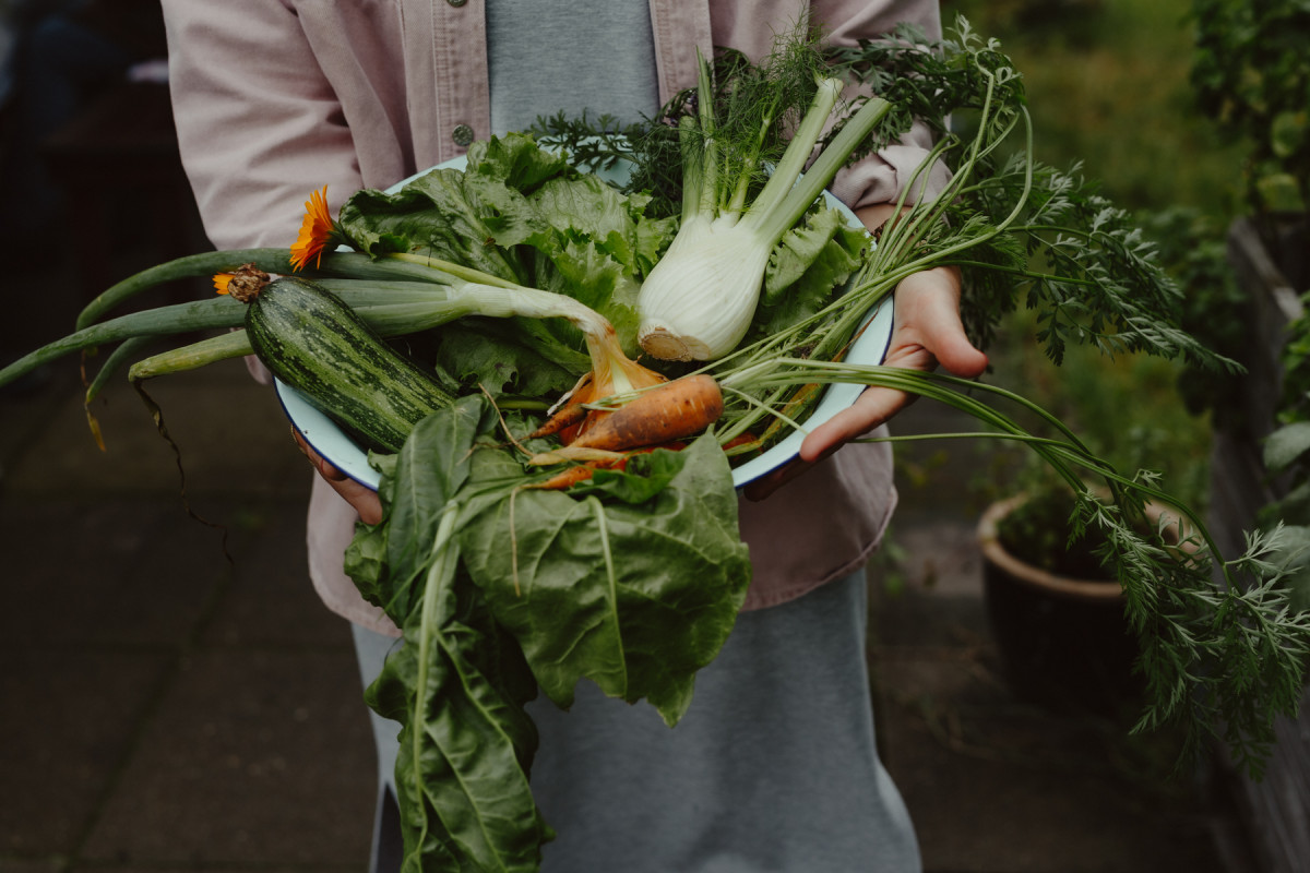 Image 2: Stadtfarm Hamburg
