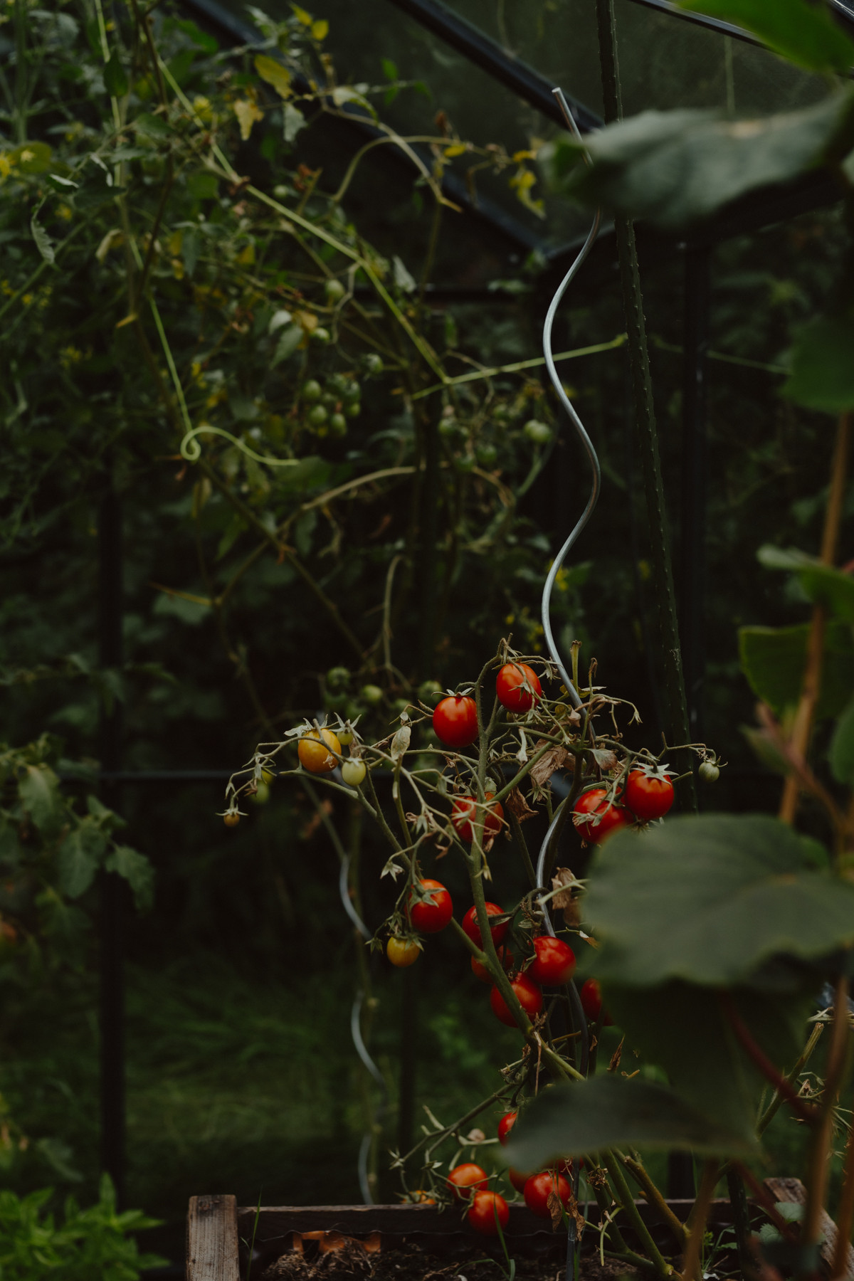 Image 3: Stadtfarm Hamburg