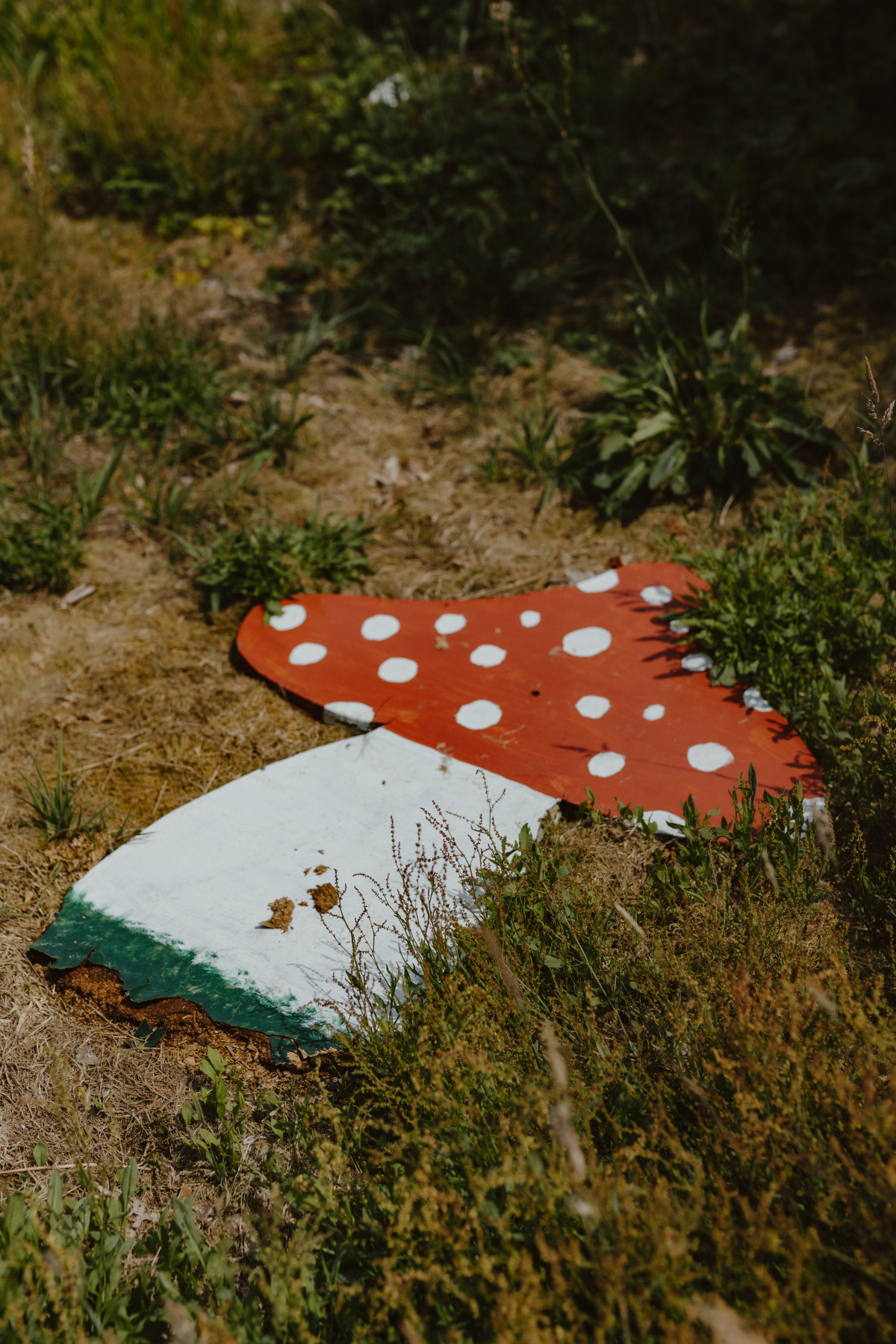 Bild 12: Tinydorf Duxbachtal