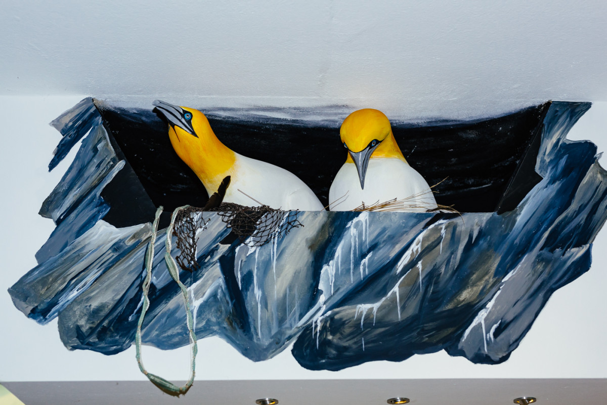 Bild 8: Toni und die Seehunde