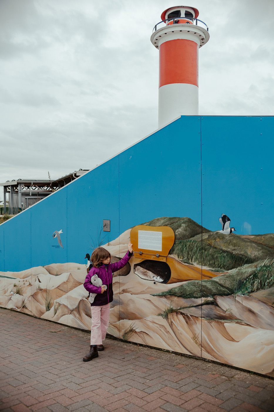 Bild 12: Toni und die Seehunde