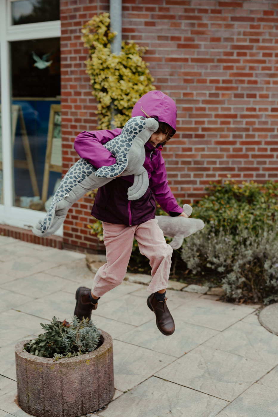 Bild 13: Toni und die Seehunde