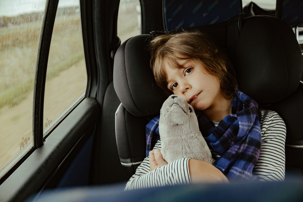 Bild 2: Toni und die Seehunde