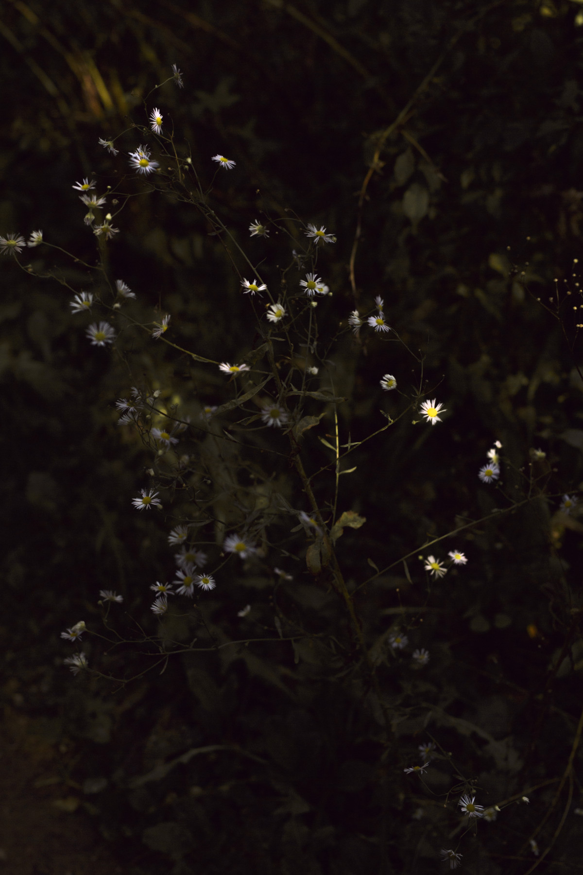 Bild 3: travelling: croatia