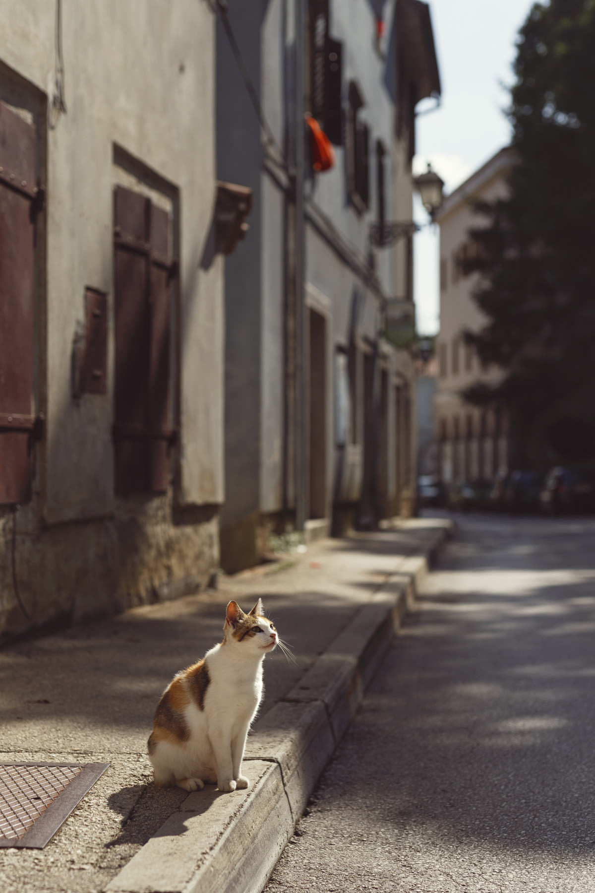 Bild 14: travelling: croatia