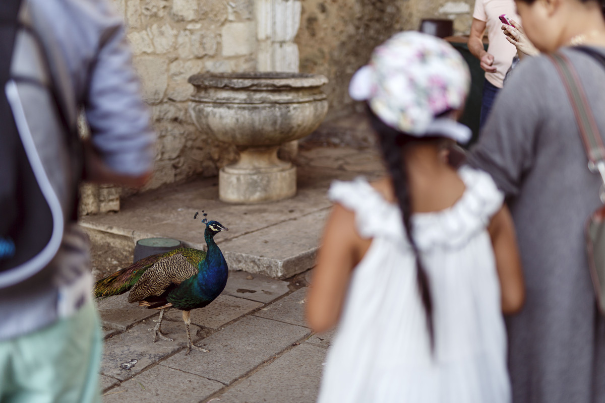 Image 11: travelling: lisboa